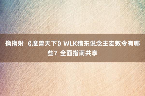 撸撸射 《魔兽天下》WLK猎东说念主宏敕令有哪些？全面指南共享