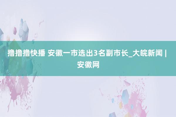 撸撸撸快播 安徽一市选出3名副市长_大皖新闻 | 安徽网