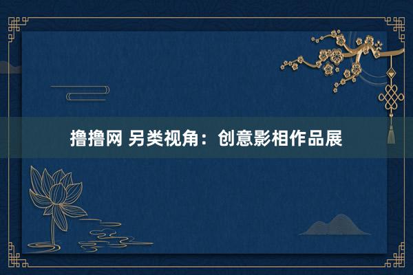 撸撸网 另类视角：创意影相作品展