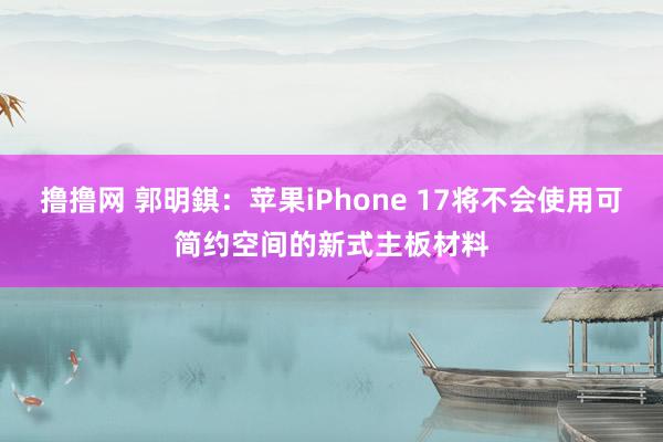 撸撸网 郭明錤：苹果iPhone 17将不会使用可简约空间的新式主板材料