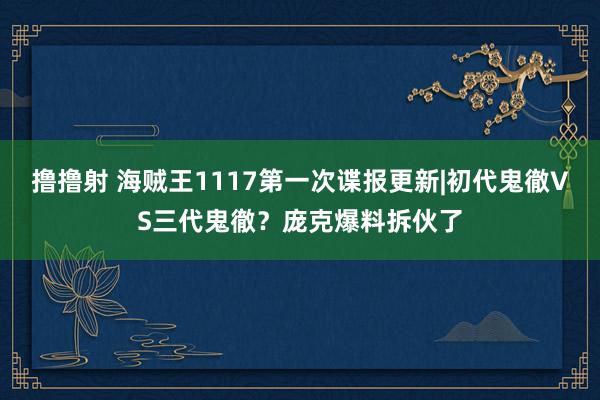 撸撸射 海贼王1117第一次谍报更新|初代鬼徹VS三代鬼徹？庞克爆料拆伙了