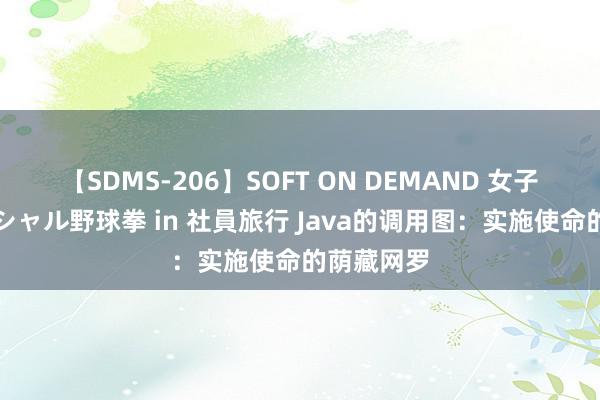 【SDMS-206】SOFT ON DEMAND 女子社員スペシャル野球拳 in 社員旅行 Java的调用图：实施使命的荫藏网罗