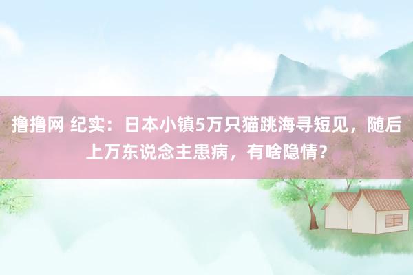 撸撸网 纪实：日本小镇5万只猫跳海寻短见，随后上万东说念主患病，有啥隐情？