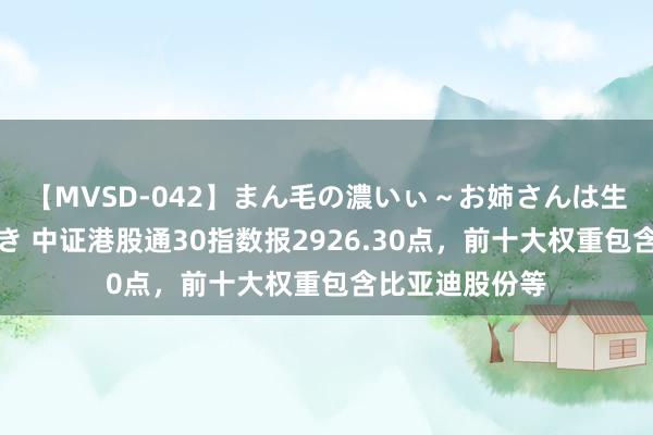 【MVSD-042】まん毛の濃いぃ～お姉さんは生中出しがお好き 中证港股通30指数报2926.30点，前十大权重包含比亚迪股份等