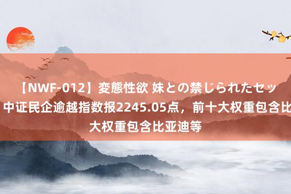 【NWF-012】変態性欲 妹との禁じられたセックス。 中证民企逾越指数报2245.05点，前十大权重包含比亚迪等