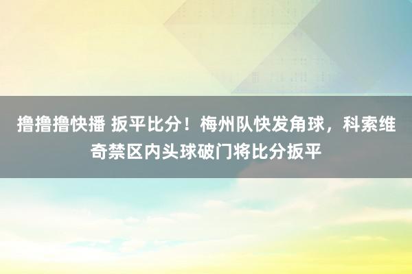 撸撸撸快播 扳平比分！梅州队快发角球，科索维奇禁区内头球破门将比分扳平