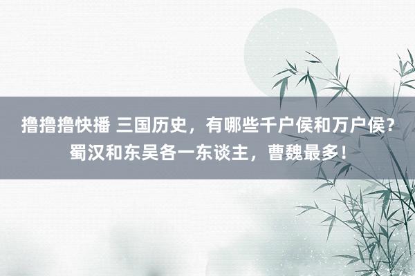 撸撸撸快播 三国历史，有哪些千户侯和万户侯？蜀汉和东吴各一东谈主，曹魏最多！