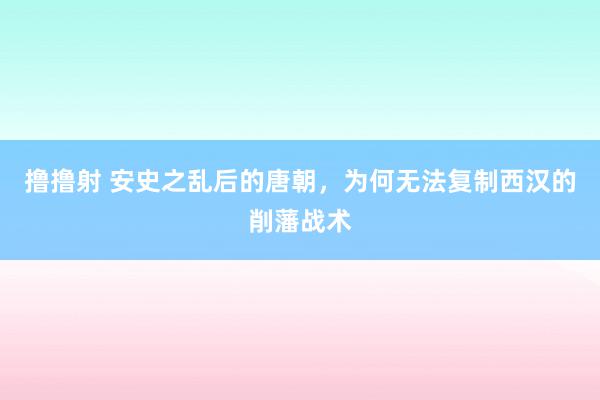 撸撸射 安史之乱后的唐朝，为何无法复制西汉的削藩战术