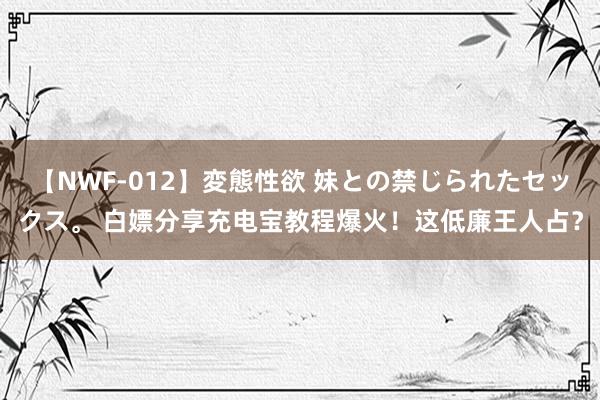 【NWF-012】変態性欲 妹との禁じられたセックス。 白嫖分享充电宝教程爆火！这低廉王人占？