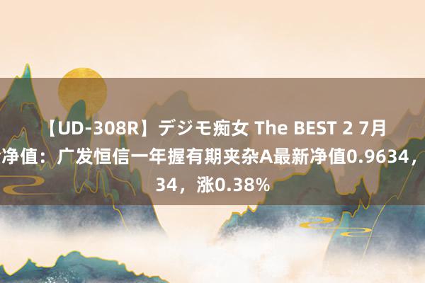 【UD-308R】デジモ痴女 The BEST 2 7月26日基金净值：广发恒信一年握有期夹杂A最新净值0.9634，涨0.38%