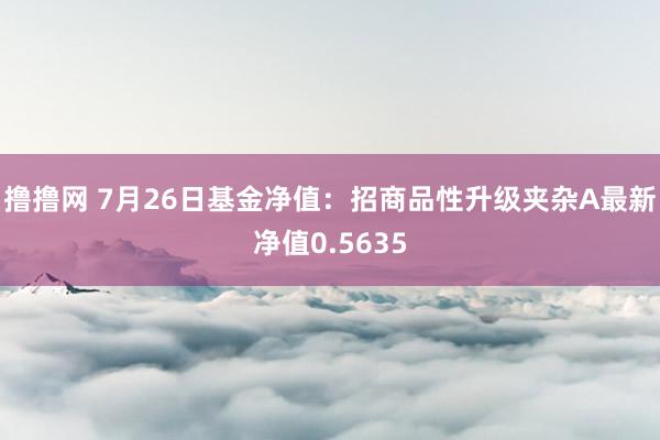 撸撸网 7月26日基金净值：招商品性升级夹杂A最新净值0.5635