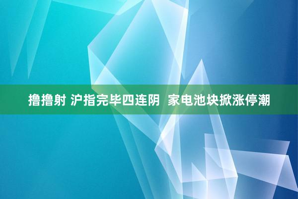 撸撸射 沪指完毕四连阴  家电池块掀涨停潮