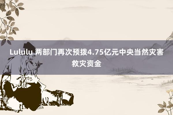 Lululu 两部门再次预拨4.75亿元中央当然灾害救灾资金