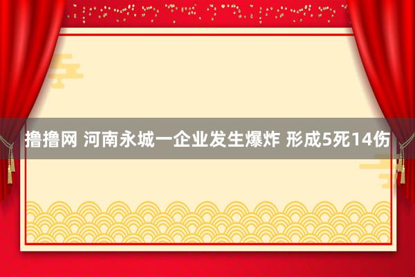 撸撸网 河南永城一企业发生爆炸 形成5死14伤