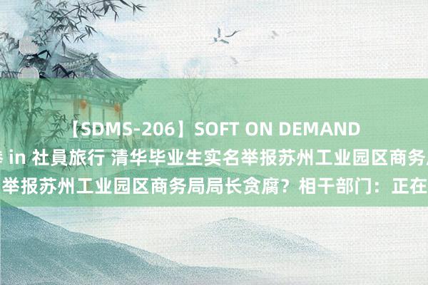 【SDMS-206】SOFT ON DEMAND 女子社員スペシャル野球拳 in 社員旅行 清华毕业生实名举报苏州工业园区商务局局长贪腐？相干部门：正在核实中