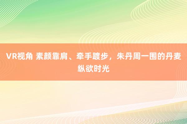 VR视角 素颜靠肩、牵手踱步，朱丹周一围的丹麦纵欲时光