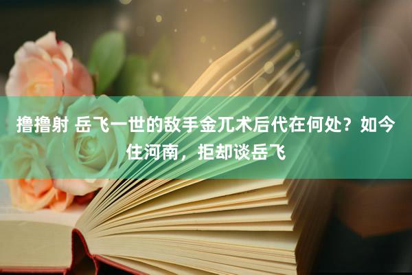 撸撸射 岳飞一世的敌手金兀术后代在何处？如今住河南，拒却谈岳飞