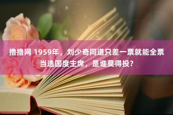 撸撸网 1959年，刘少奇同道只差一票就能全票当选国度主席，是谁莫得投？