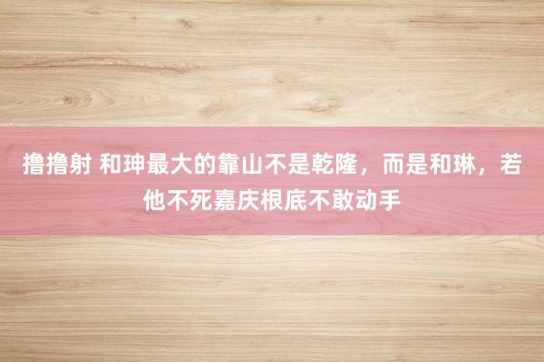 撸撸射 和珅最大的靠山不是乾隆，而是和琳，若他不死嘉庆根底不敢动手