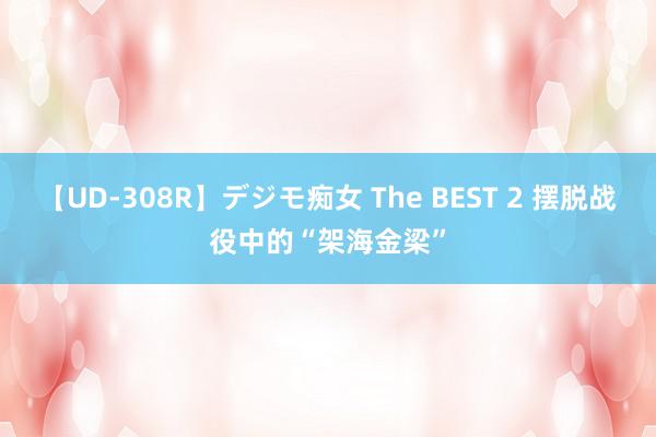 【UD-308R】デジモ痴女 The BEST 2 摆脱战役中的“架海金梁”