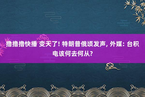 撸撸撸快播 变天了! 特朗普俄顷发声, 外媒: 台积电该何去何从?