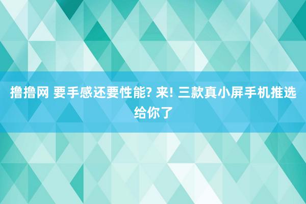 撸撸网 要手感还要性能? 来! 三款真小屏手机推选给你了