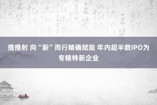 撸撸射 向“新”而行精确赋能 年内超半数IPO为专精特新企业