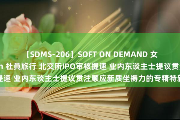 【SDMS-206】SOFT ON DEMAND 女子社員スペシャル野球拳 in 社員旅行 北交所IPO审核提速 业内东谈主士提议贯注顺应新质坐褥力的专精特新企业