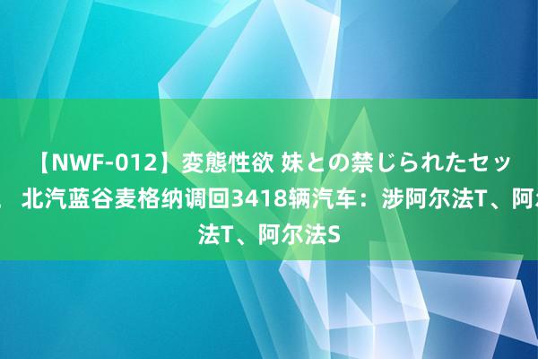 【NWF-012】変態性欲 妹との禁じられたセックス。 北汽蓝谷麦格纳调回3418辆汽车：涉阿尔法T、阿尔法S