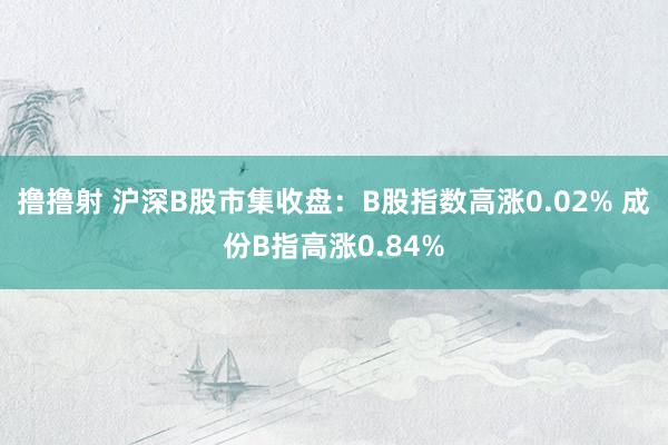 撸撸射 沪深B股市集收盘：B股指数高涨0.02% 成份B指高涨0.84%