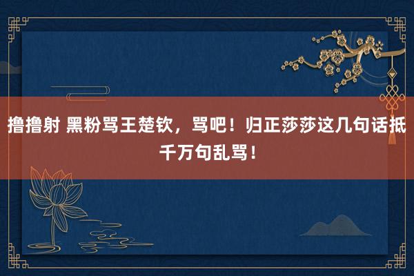 撸撸射 黑粉骂王楚钦，骂吧！归正莎莎这几句话抵千万句乱骂！