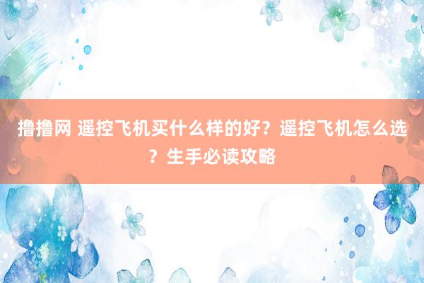 撸撸网 遥控飞机买什么样的好？遥控飞机怎么选？生手必读攻略