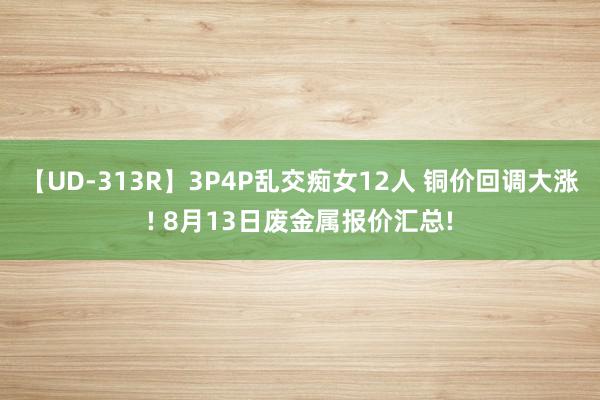 【UD-313R】3P4P乱交痴女12人 铜价回调大涨! 8月13日废金属报价汇总!