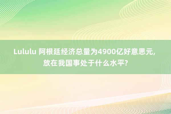 Lululu 阿根廷经济总量为4900亿好意思元, 放在我国事处于什么水平?