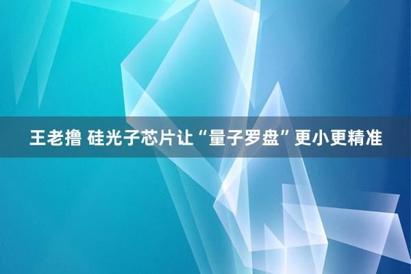 王老撸 硅光子芯片让“量子罗盘”更小更精准