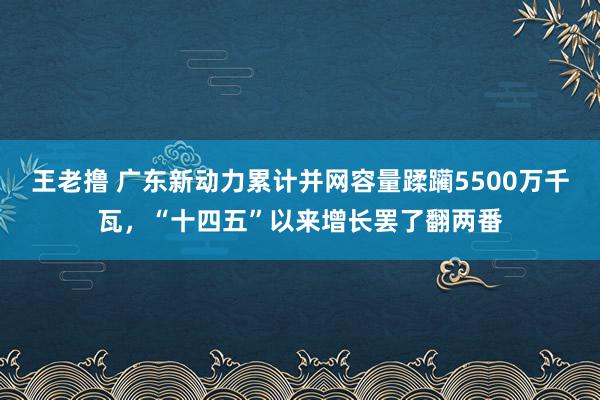 王老撸 广东新动力累计并网容量蹂躏5500万千瓦，“十四五”以来增长罢了翻两番