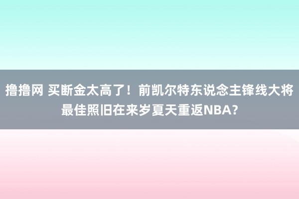 撸撸网 买断金太高了！前凯尔特东说念主锋线大将最佳照旧在来岁夏天重返NBA？