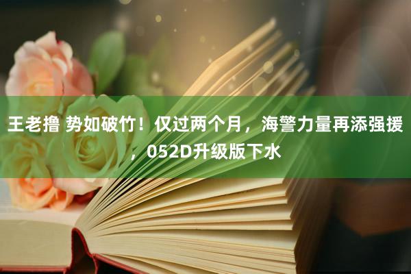 王老撸 势如破竹！仅过两个月，海警力量再添强援，052D升级版下水