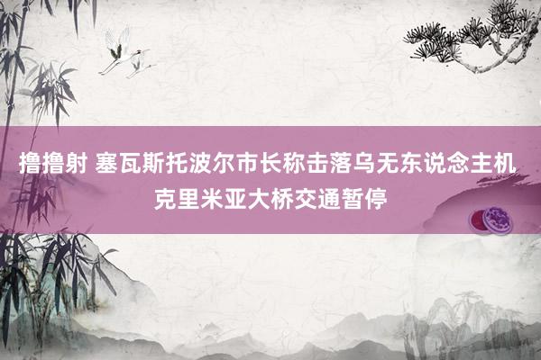 撸撸射 塞瓦斯托波尔市长称击落乌无东说念主机 克里米亚大桥交通暂停