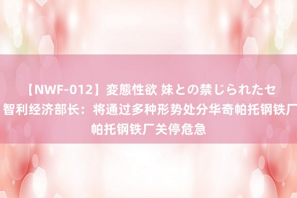 【NWF-012】変態性欲 妹との禁じられたセックス。 智利经济部长：将通过多种形势处分华奇帕托钢铁厂关停危急