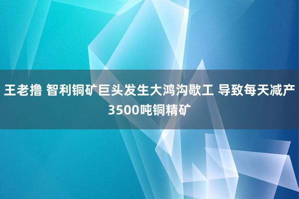 王老撸 智利铜矿巨头发生大鸿沟歇工 导致每天减产3500吨铜精矿