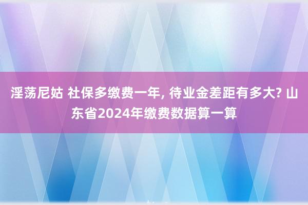 淫荡尼姑 社保多缴费一年, 待业金差距有多大? 山东省2024年缴费数据算一算