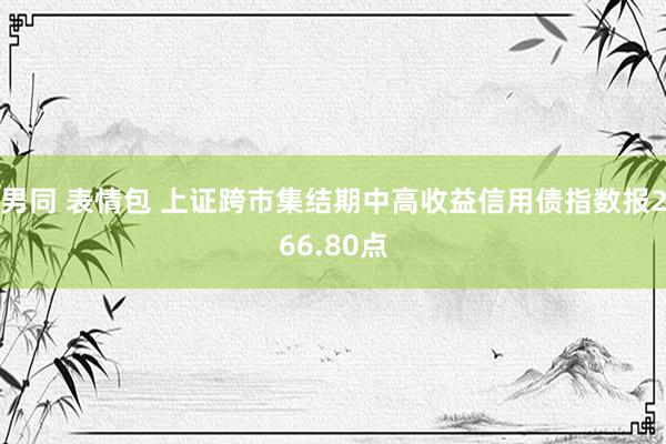 男同 表情包 上证跨市集结期中高收益信用债指数报266.80点