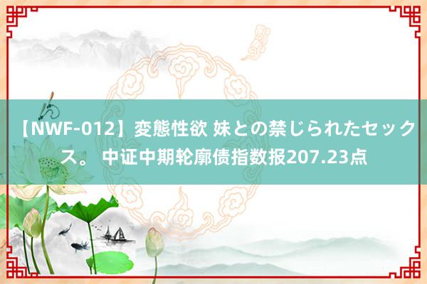 【NWF-012】変態性欲 妹との禁じられたセックス。 中证中期轮廓债指数报207.23点