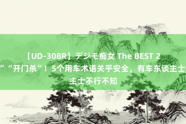 【UD-308R】デジモ痴女 The BEST 2 “鬼探头”“开门杀”！5个用车术语关乎安全，有车东谈主士不行不知