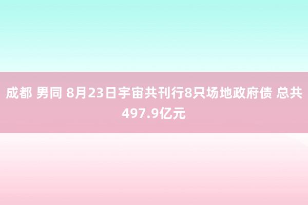 成都 男同 8月23日宇宙共刊行8只场地政府债 总共497.9亿元