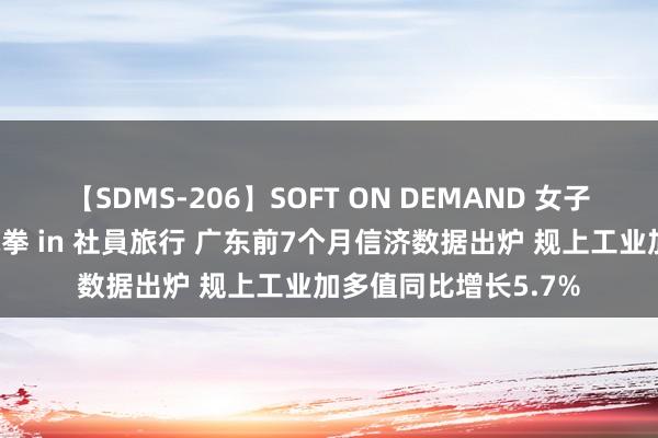 【SDMS-206】SOFT ON DEMAND 女子社員スペシャル野球拳 in 社員旅行 广东前7个月信济数据出炉 规上工业加多值同比增长5.7%