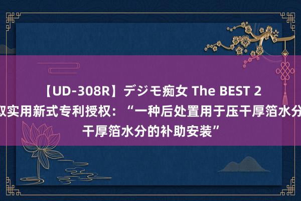 【UD-308R】デジモ痴女 The BEST 2 德福科技获取实用新式专利授权：“一种后处置用于压干厚箔水分的补助安装”