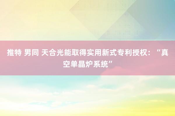 推特 男同 天合光能取得实用新式专利授权：“真空单晶炉系统”