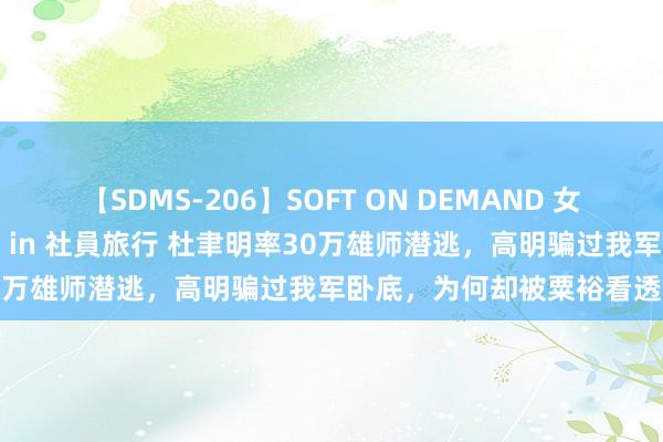 【SDMS-206】SOFT ON DEMAND 女子社員スペシャル野球拳 in 社員旅行 杜聿明率30万雄师潜逃，高明骗过我军卧底，为何却被粟裕看透